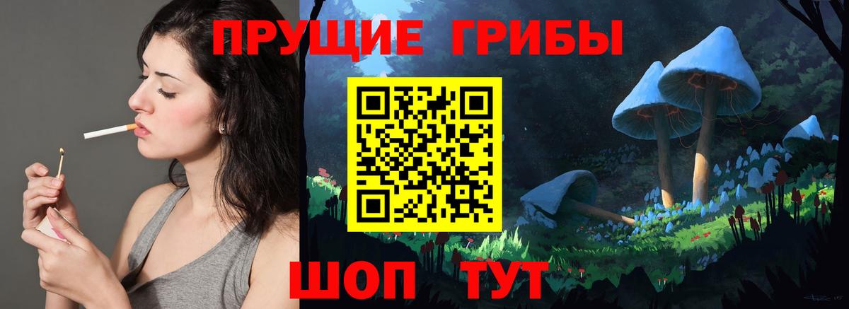 Галлюциногенные грибы Cubensis  Вход с VPN  Боровичи  Псилоцибиновые грибы Psilocybine cubensis 