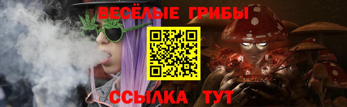 Псилоцибиновые грибы Psilocybe Боровичи